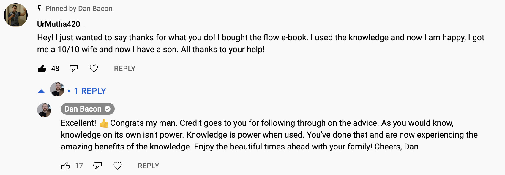 The Flow by Dan Bacon - testimonial