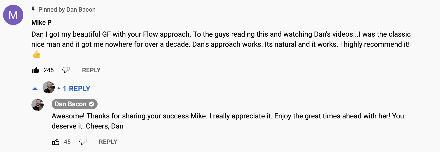 The Flow by Dan Bacon - testimonial