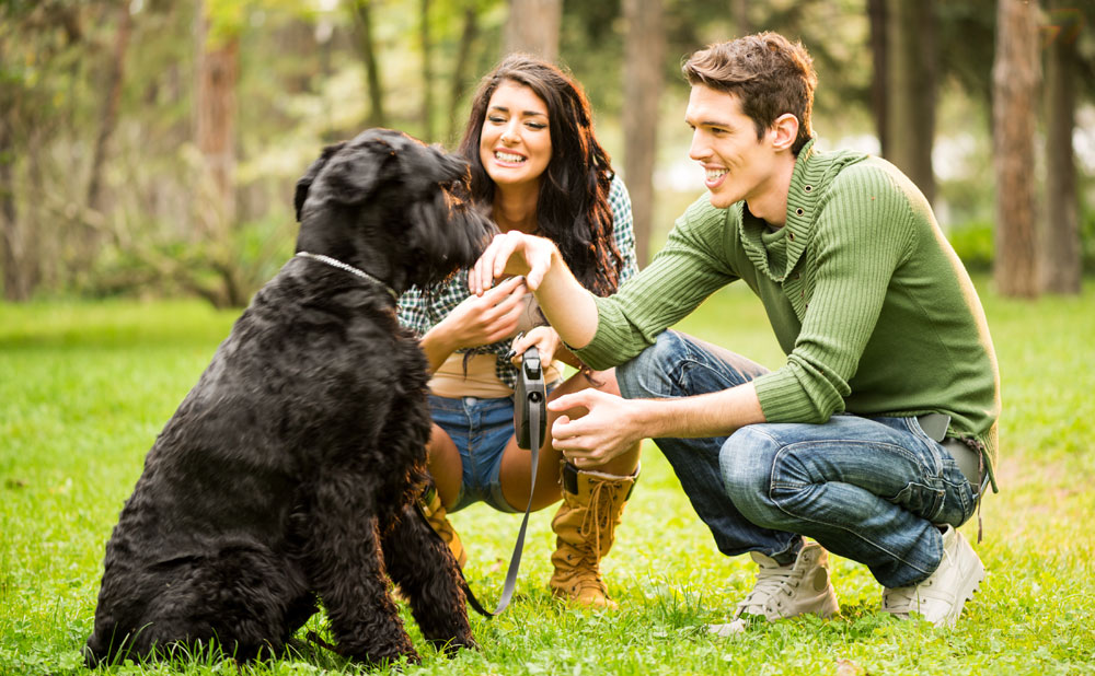 How to talk to a woman who has a dog